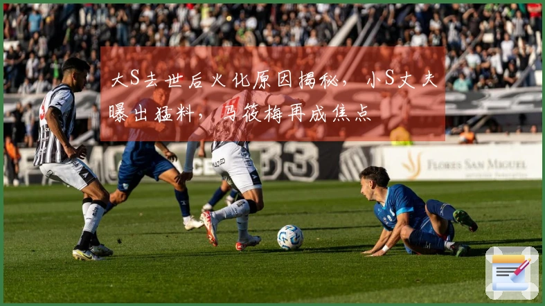 大S去世后火化原因揭秘，小S丈夫曝出猛料，马筱梅再成焦点