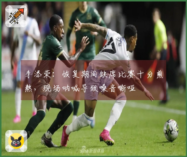 李添荣：恢复期间缺席比赛十分煎熬，现场呐喊导致嗓音嘶哑