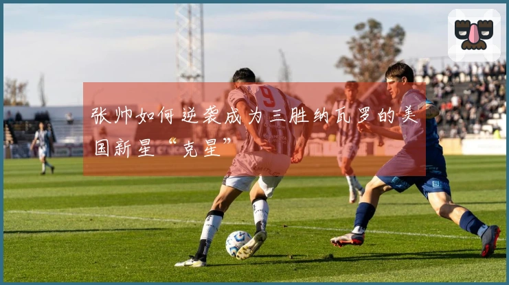 张帅如何逆袭成为三胜纳瓦罗的美国新星“克星”