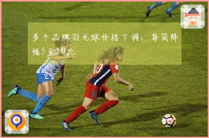 多个品牌羽毛球价格下调，每筒降幅5至10元