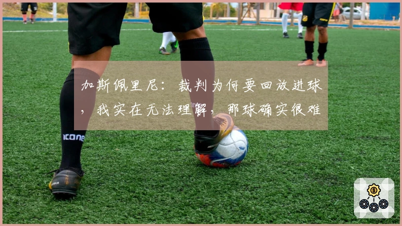 加斯佩里尼：裁判为何要回放进球，我实在无法理解，那球确实很难判罚