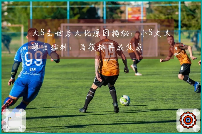 大S去世后火化原因揭秘，小S丈夫曝出猛料，马筱梅再成焦点